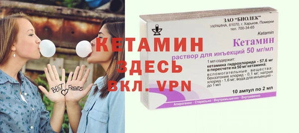 гашик Ельня