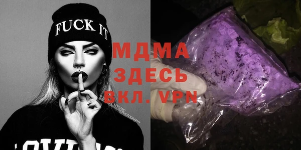 гашик Ельня
