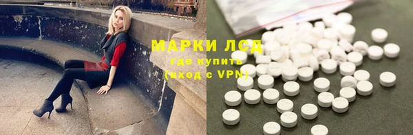 гашик Ельня
