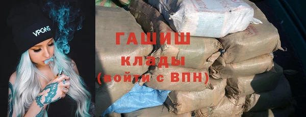 гашик Ельня